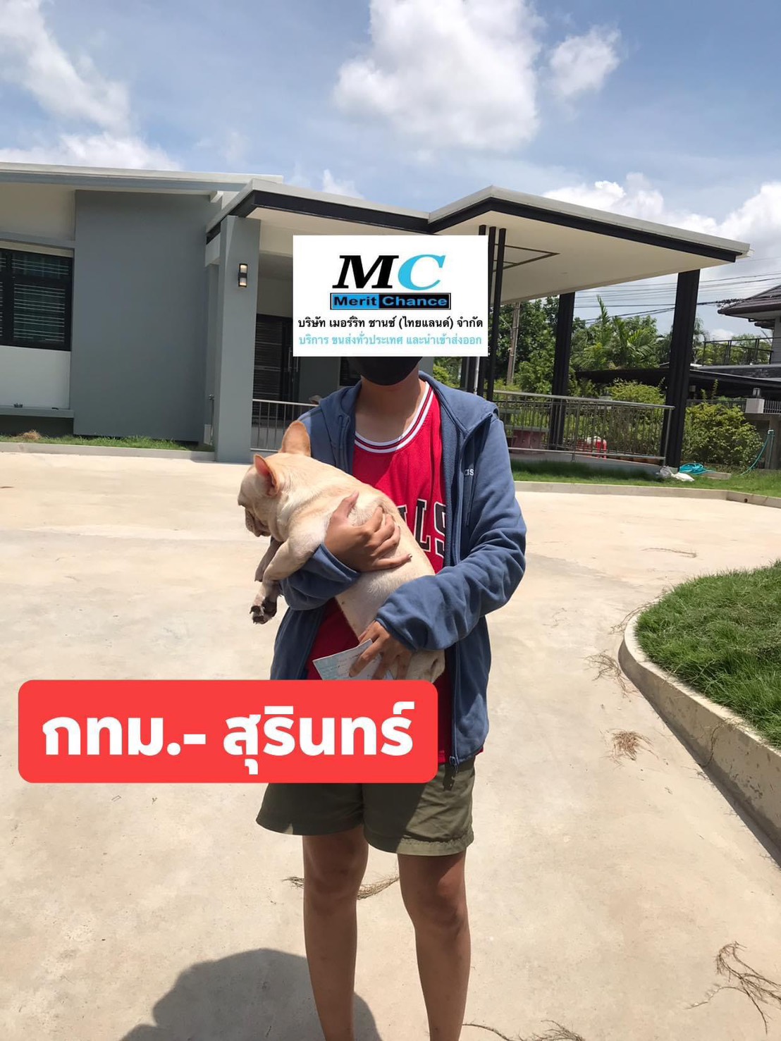 Slide 5